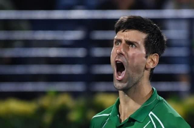 伺机反击 伺机反击